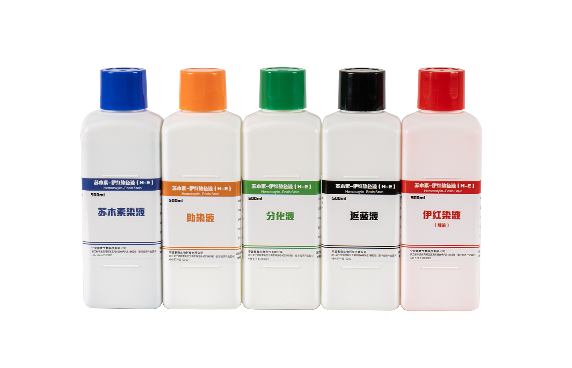 高清恒定染色液